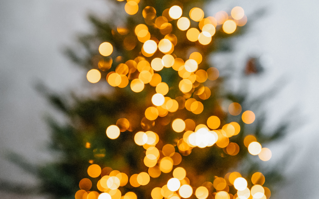 Grilování na terase u příležitosti rozsvícení vánočního stromečku